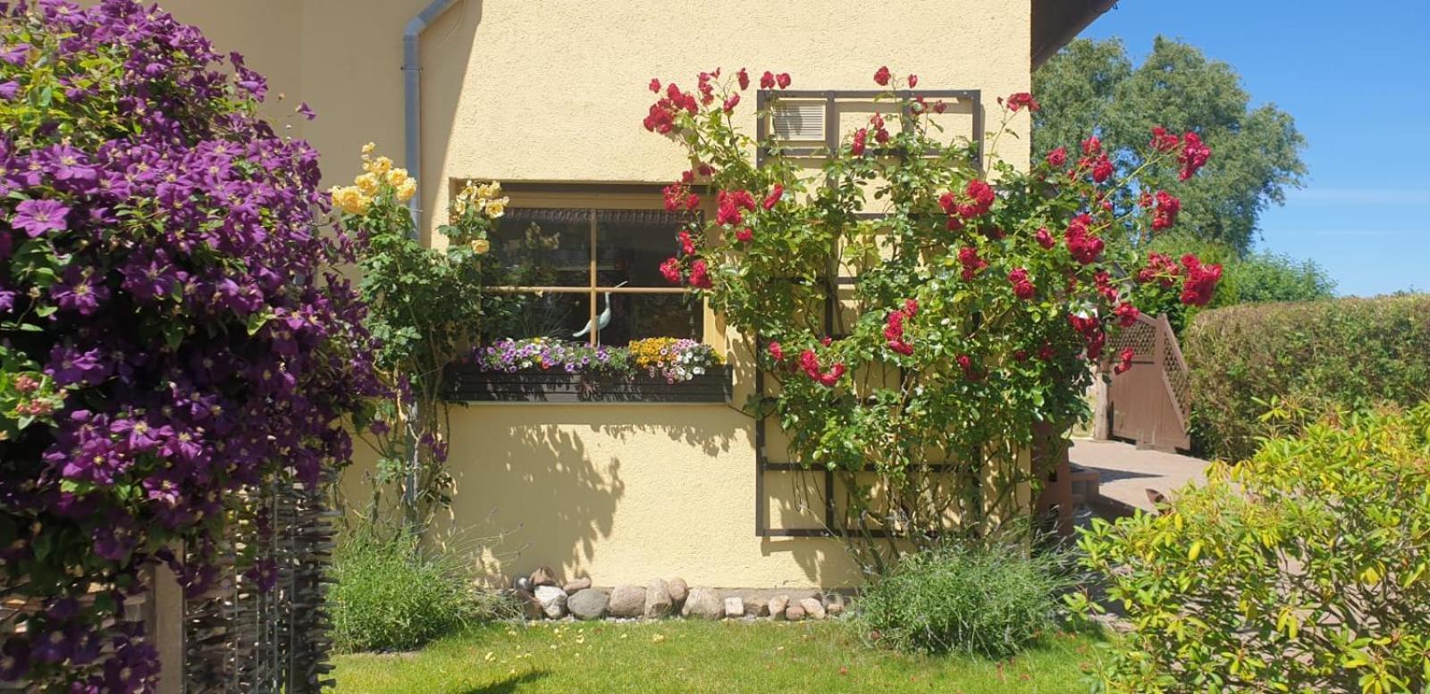 Ostseeferien In Lichtenhagen-Dorf Ferienwohnung 奥门豪斯特 外观 照片