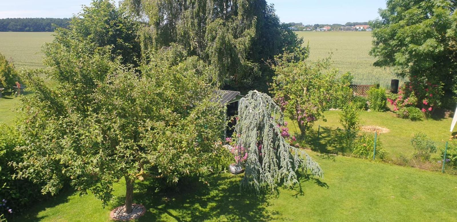 Ostseeferien In Lichtenhagen-Dorf Ferienwohnung 奥门豪斯特 外观 照片