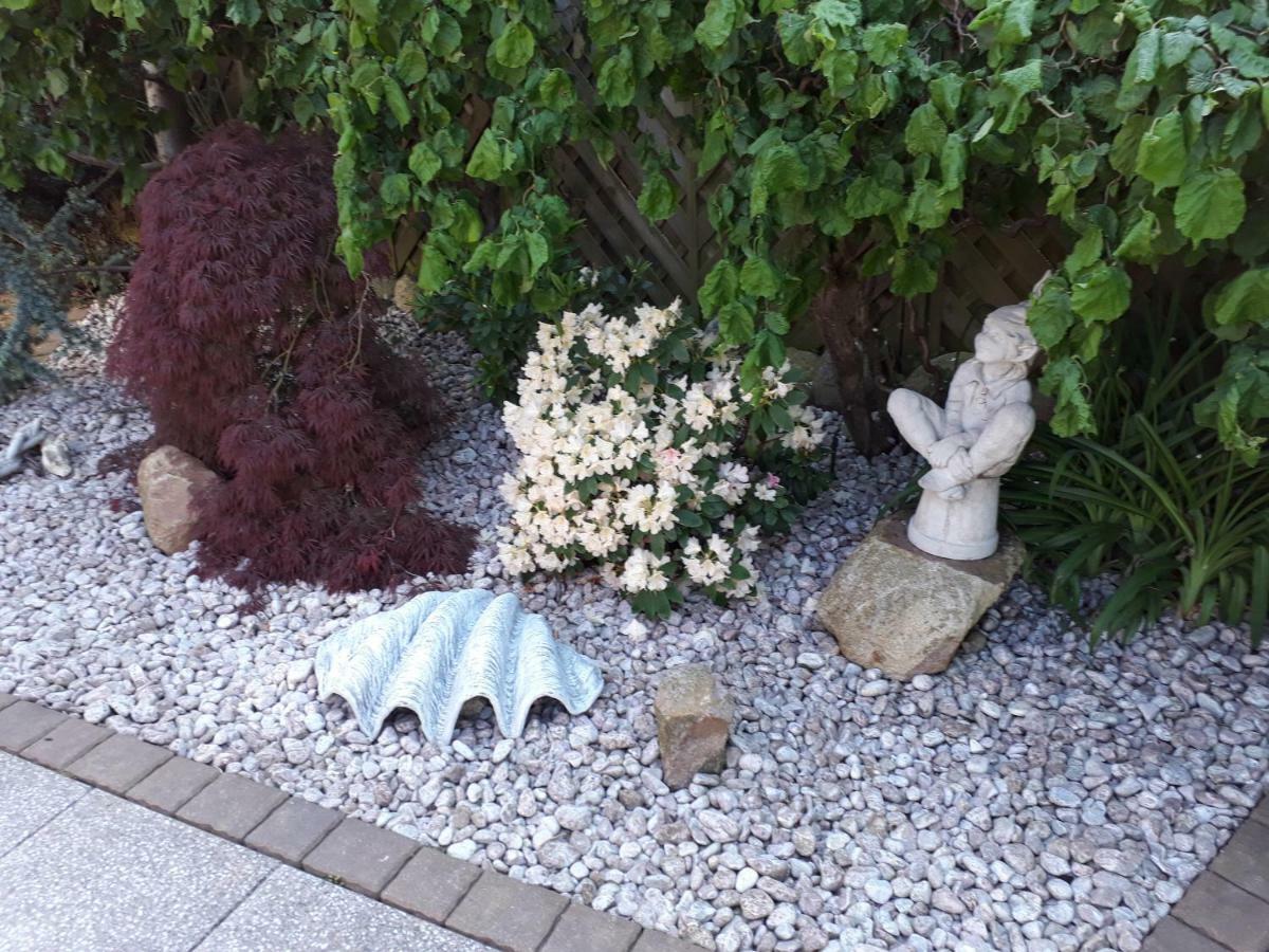Ostseeferien In Lichtenhagen-Dorf Ferienwohnung 奥门豪斯特 外观 照片
